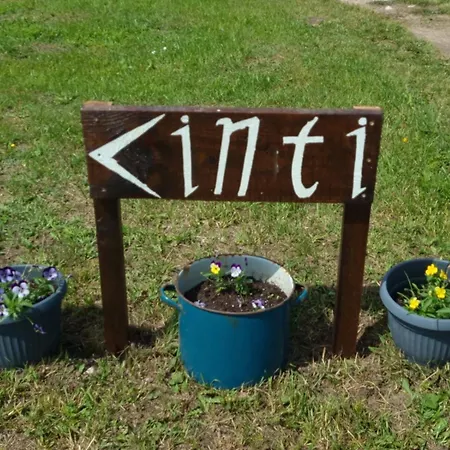 Inti *